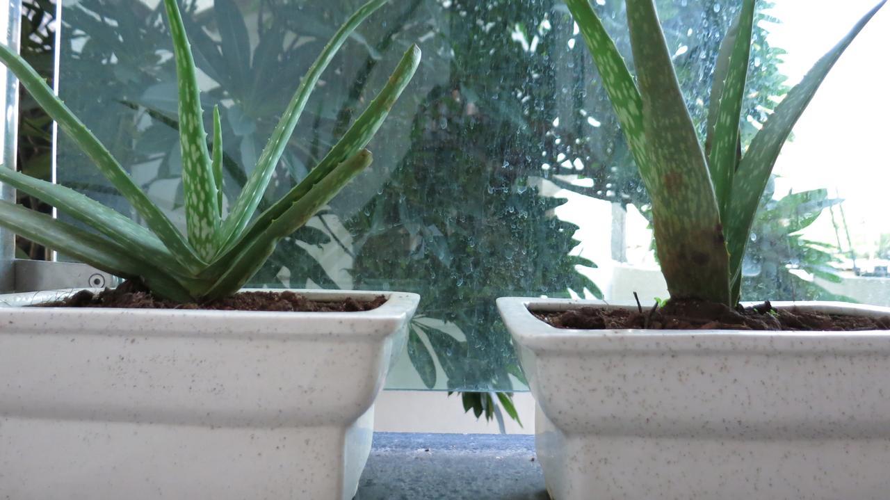 Beehive Commune Hyderabad Hostel Bagian luar foto